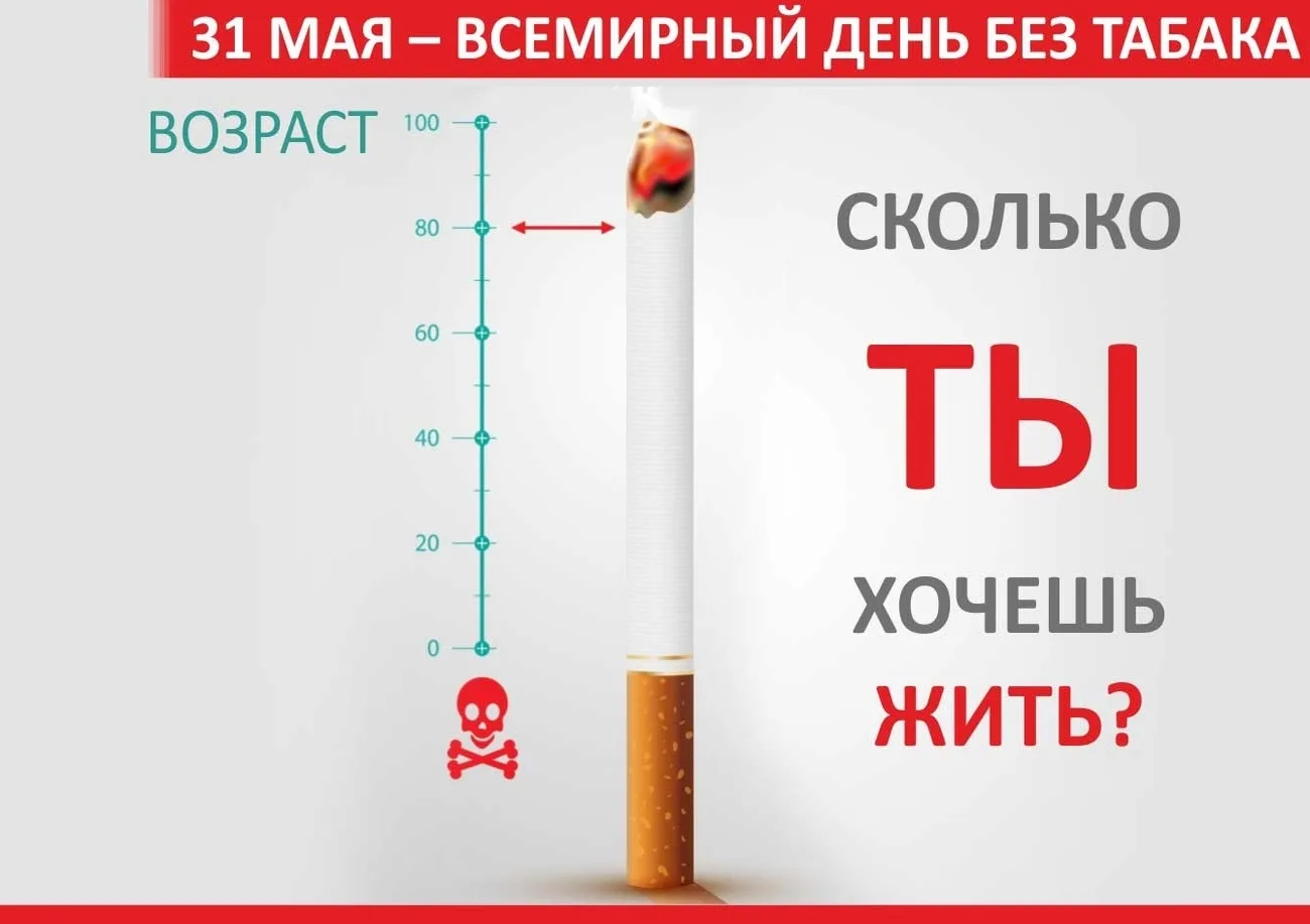 Фото Всемирный день без табака 2024 #24