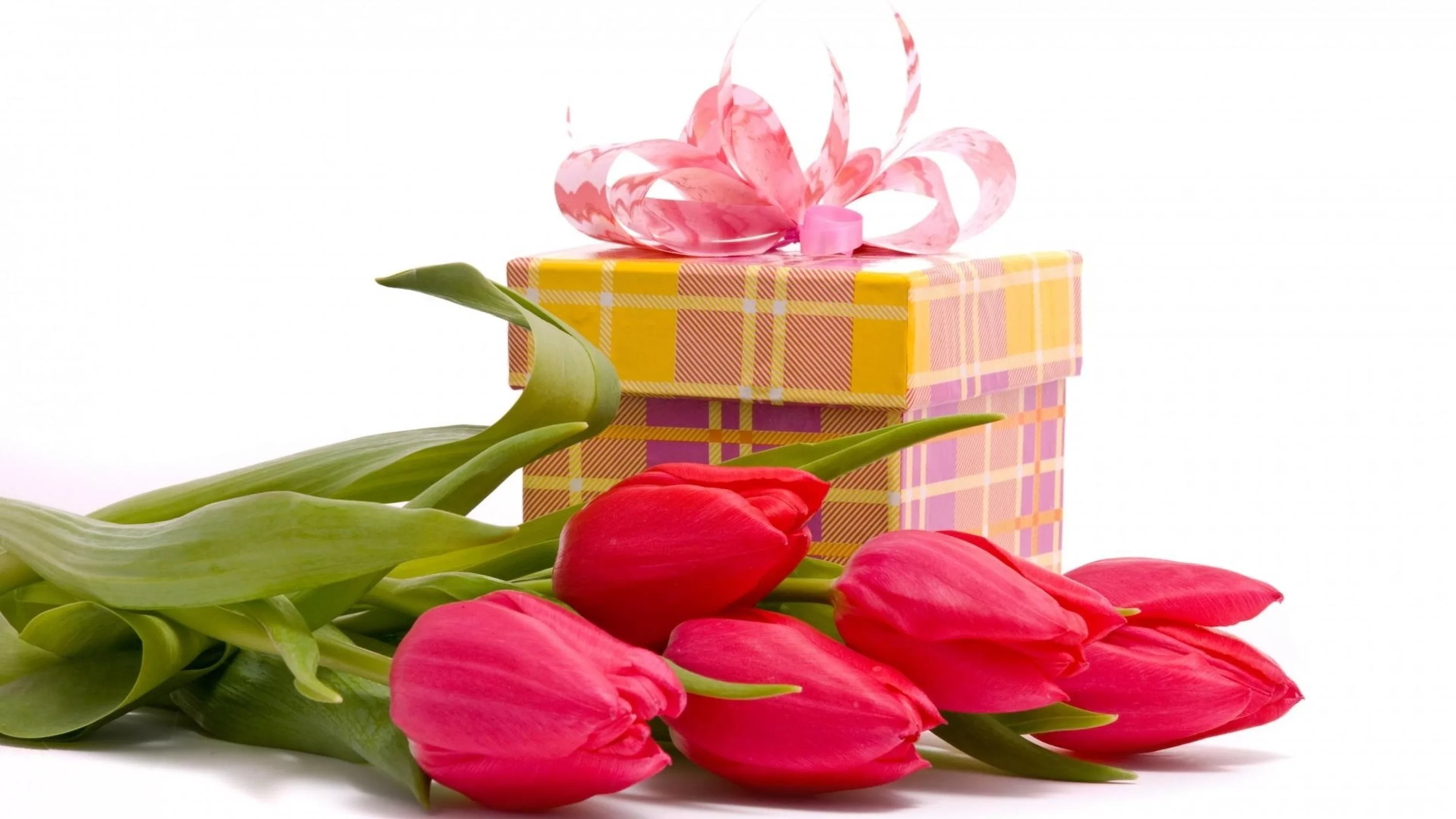 Фото Стихи к подарку тюльпаны #67