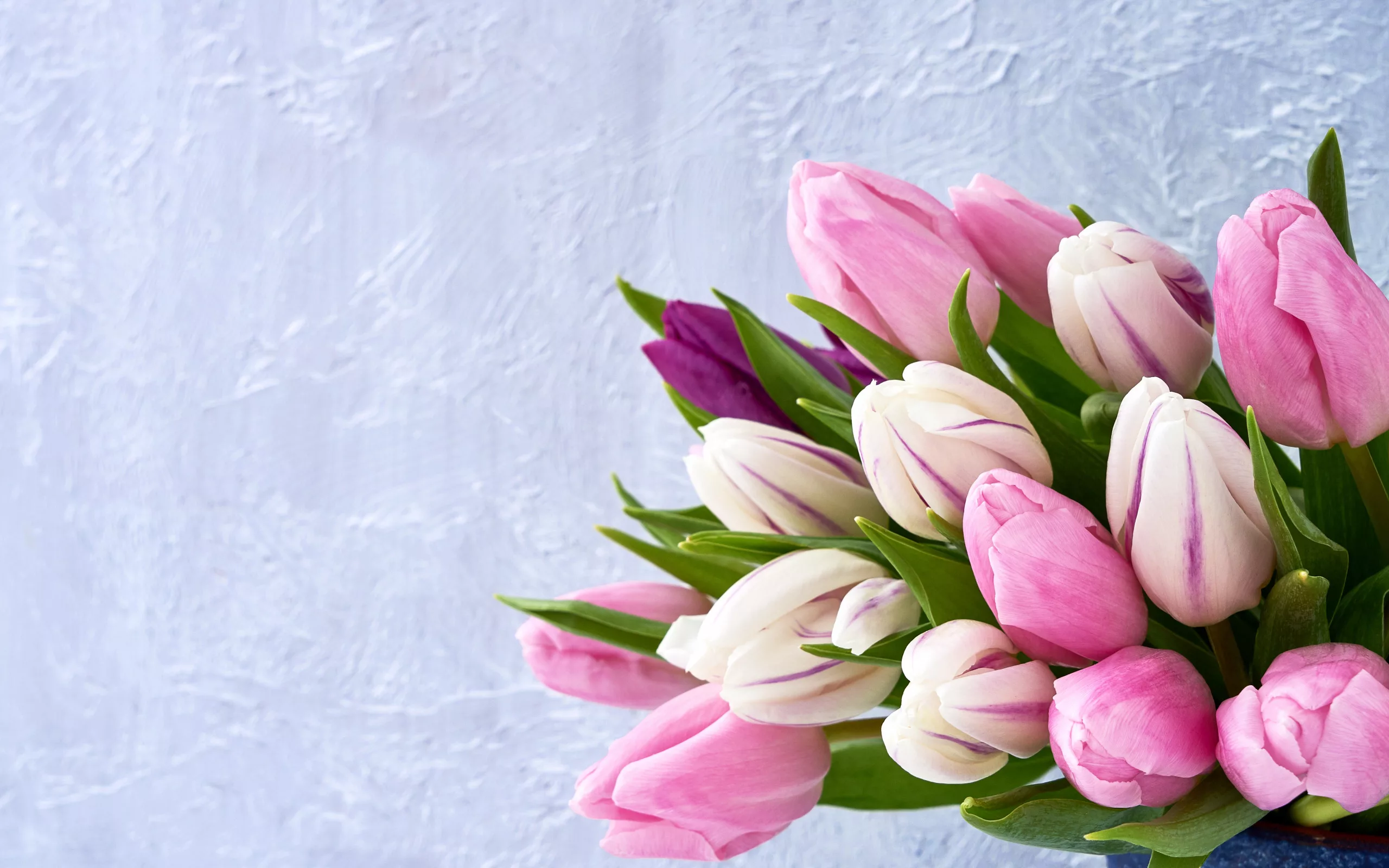 Фото Стихи к подарку тюльпаны #74
