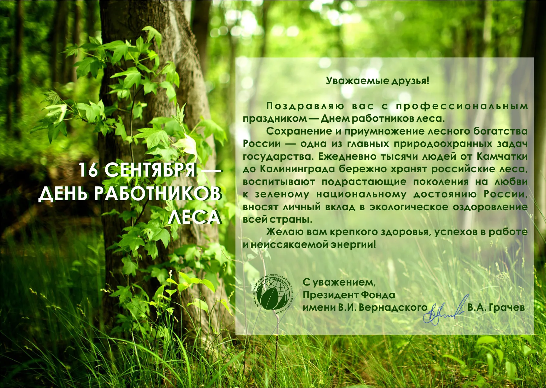Фото Международный день леса 2025 #71
