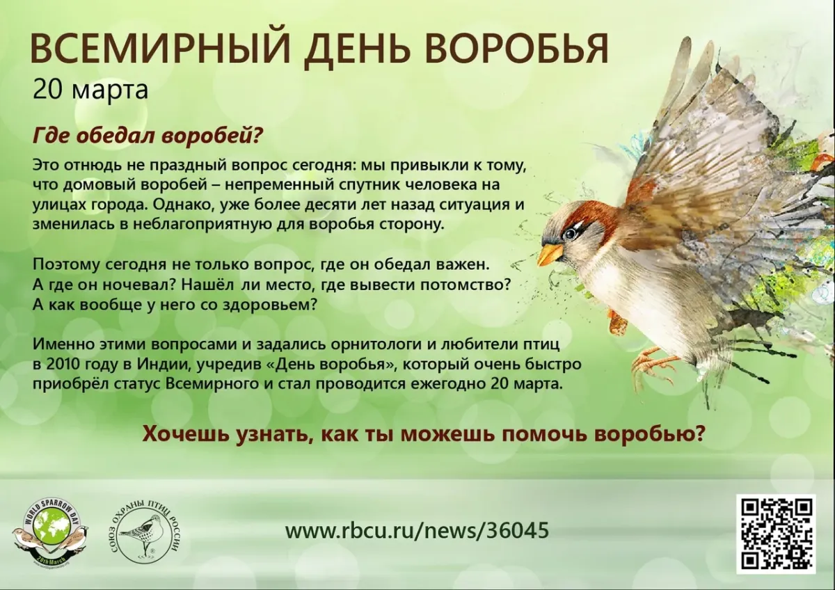 Международный день воробья. Всемирный день воробья. Всемирный день птиц.