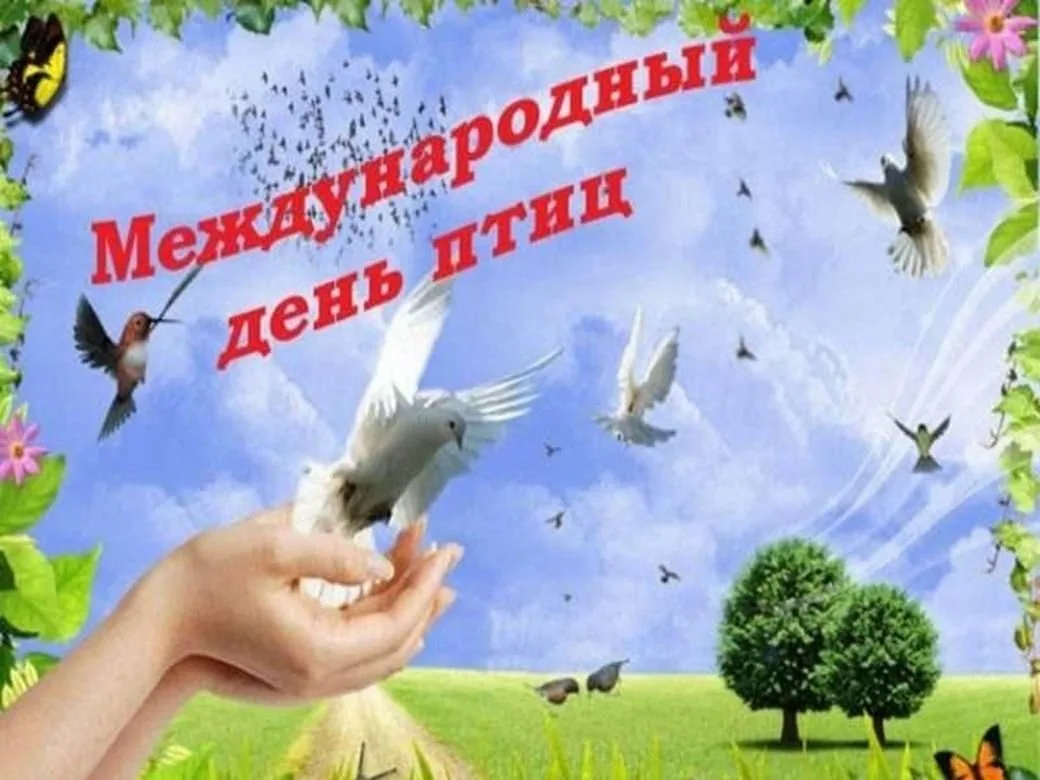 1 апреля международный день птиц в детском. День птиц. Международный день птиц. Междунаровныйденьптиц. Международный день Пти.