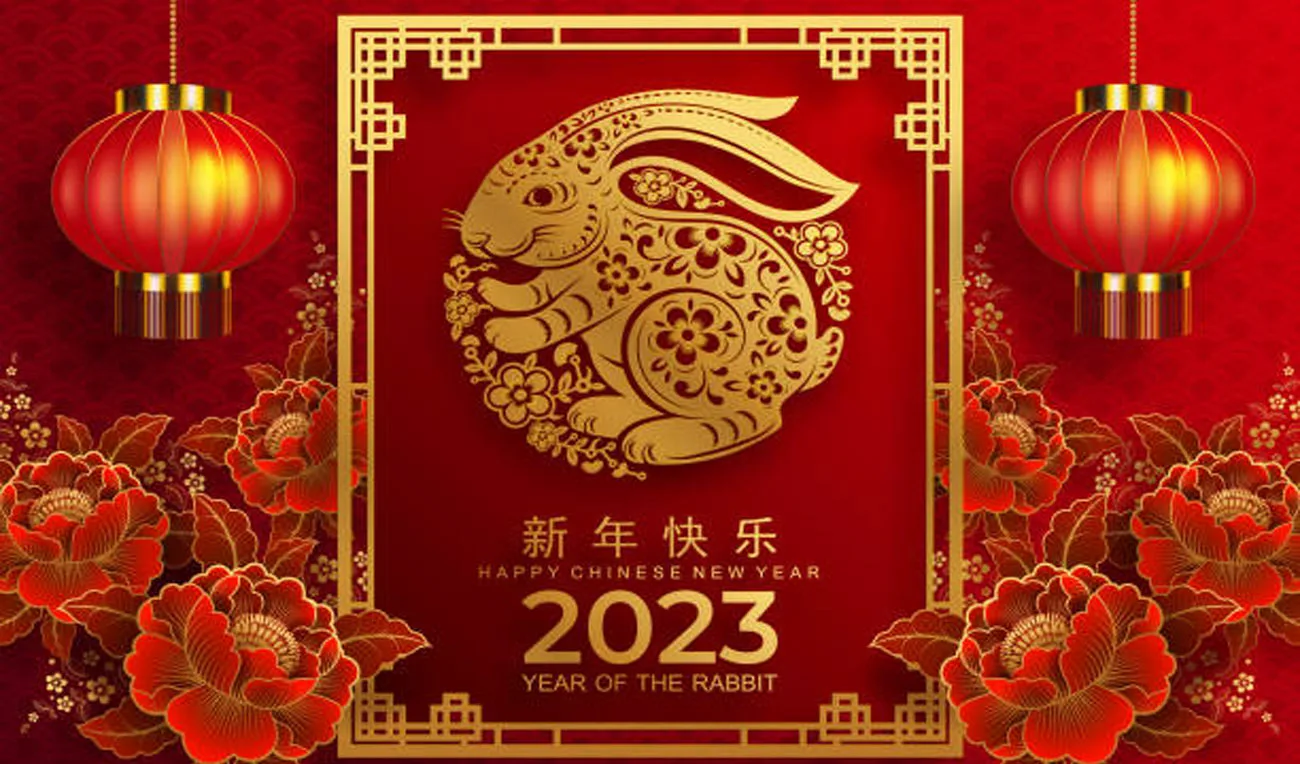 Фото Китайский Новый год 2025 #39