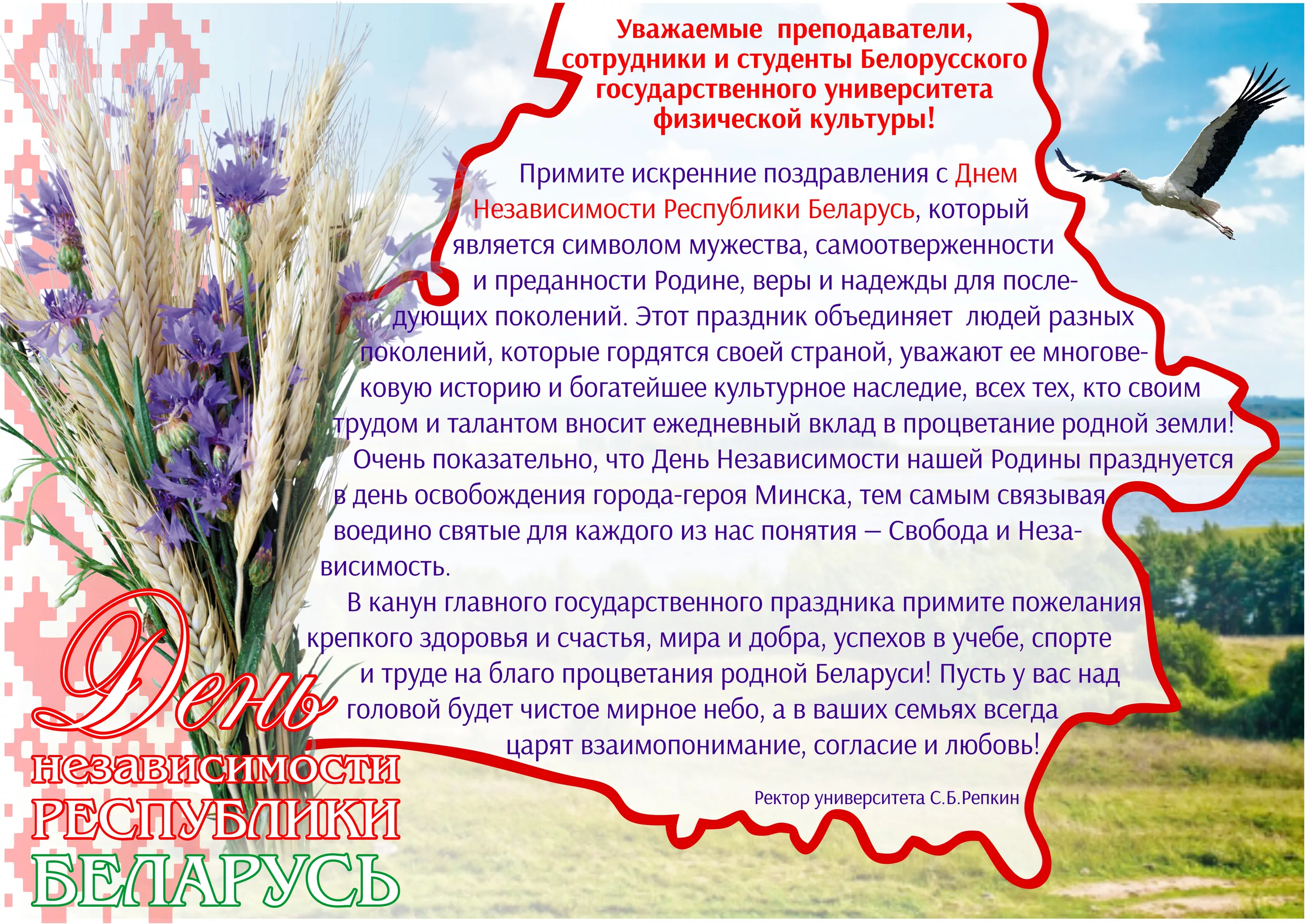 Фото День Независимости Республики Беларусь 2024 #40