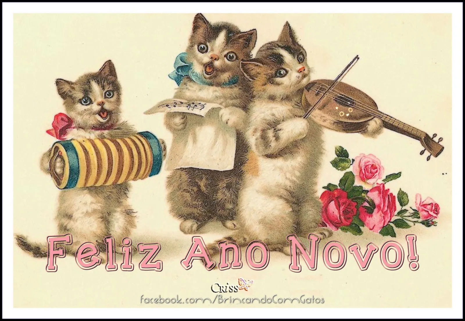 Поздравление кошечки. Открытки. Поздравительные открытки с кошками. Открытка кошки с днём рождения. С днём рождения с котиками.