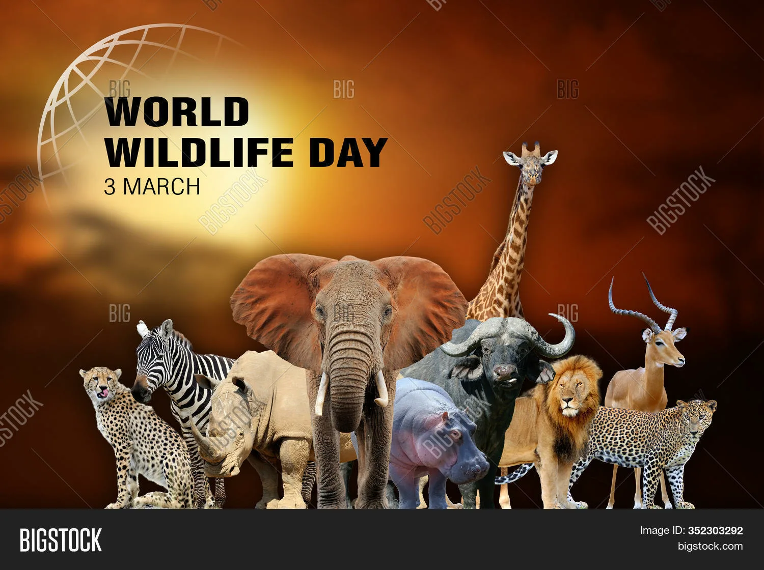 Фото Всемирный день дикой природы 2025 #46