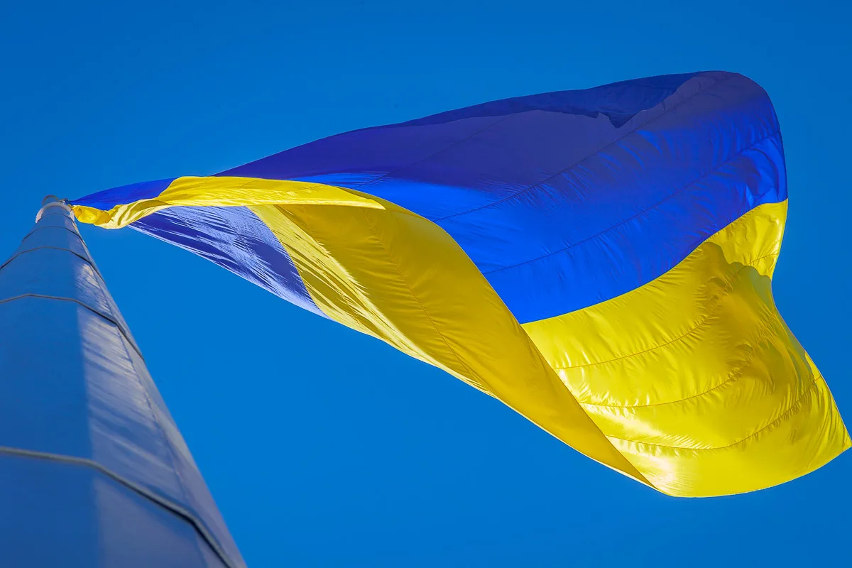 Фото День флага Украины #74