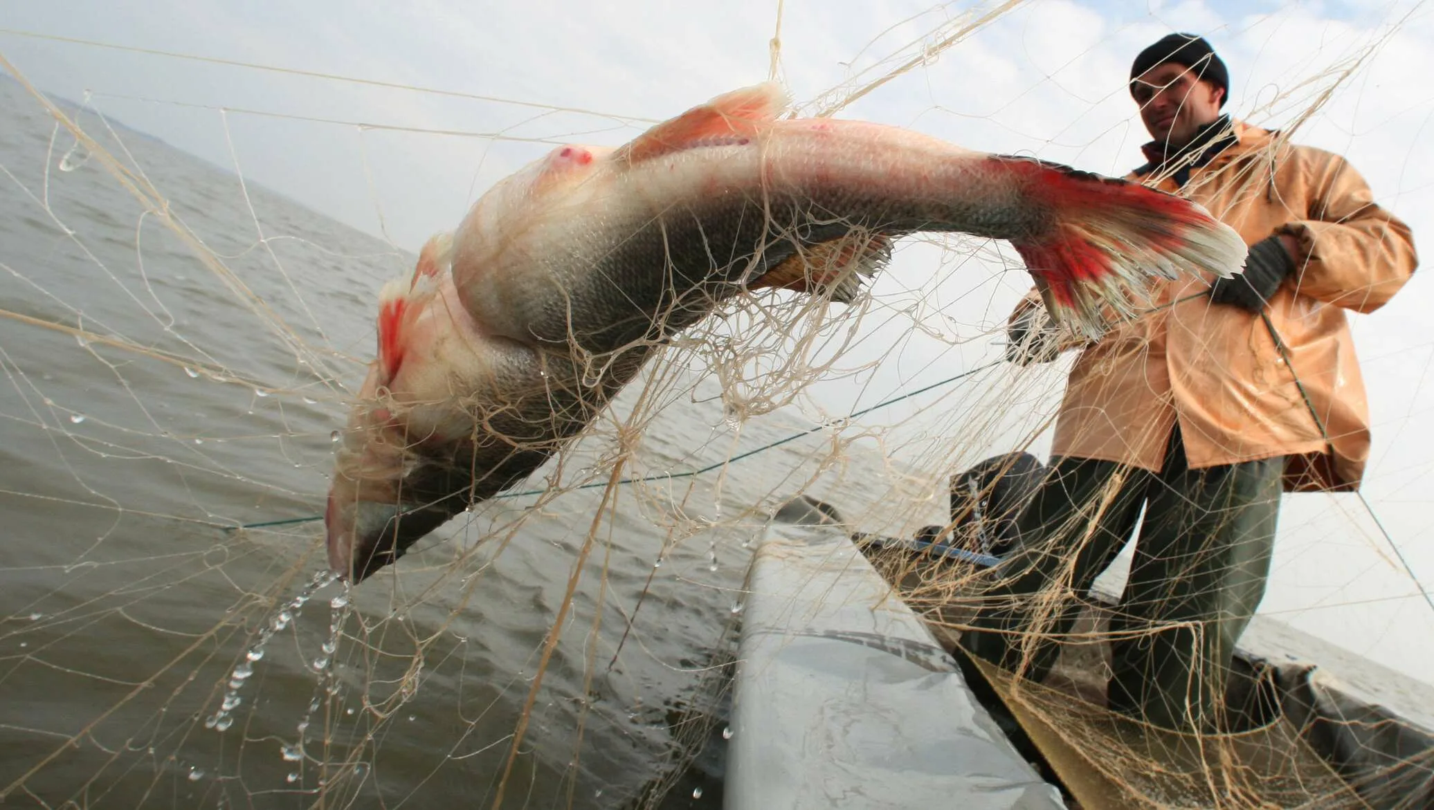 Фото Поздравления рыбаку в праздник «Всемирный день рыболовства» #89