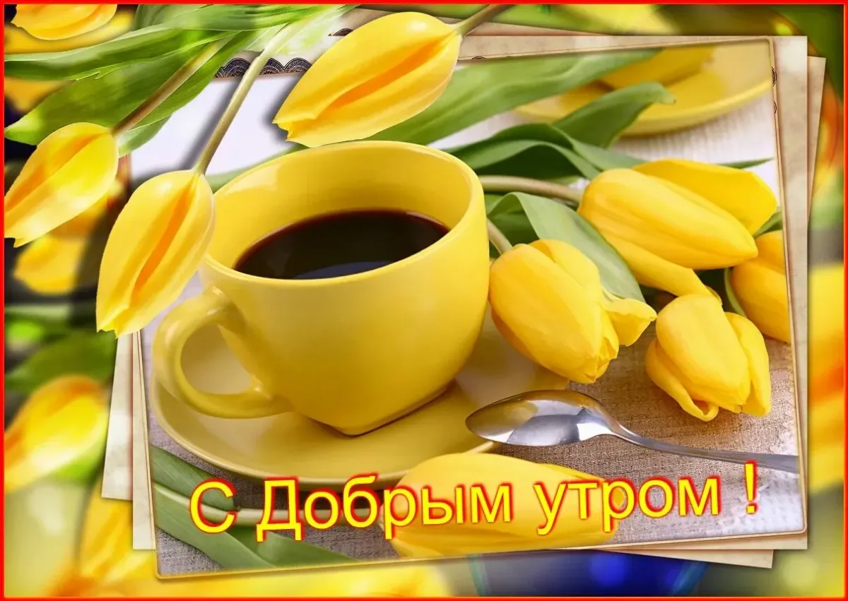 Доброе апрельское утречко хорошего дня. С добрым утром. Доброе Весеннее утро. С добрым весенним утром. Пожелания с добрым весенним утром.