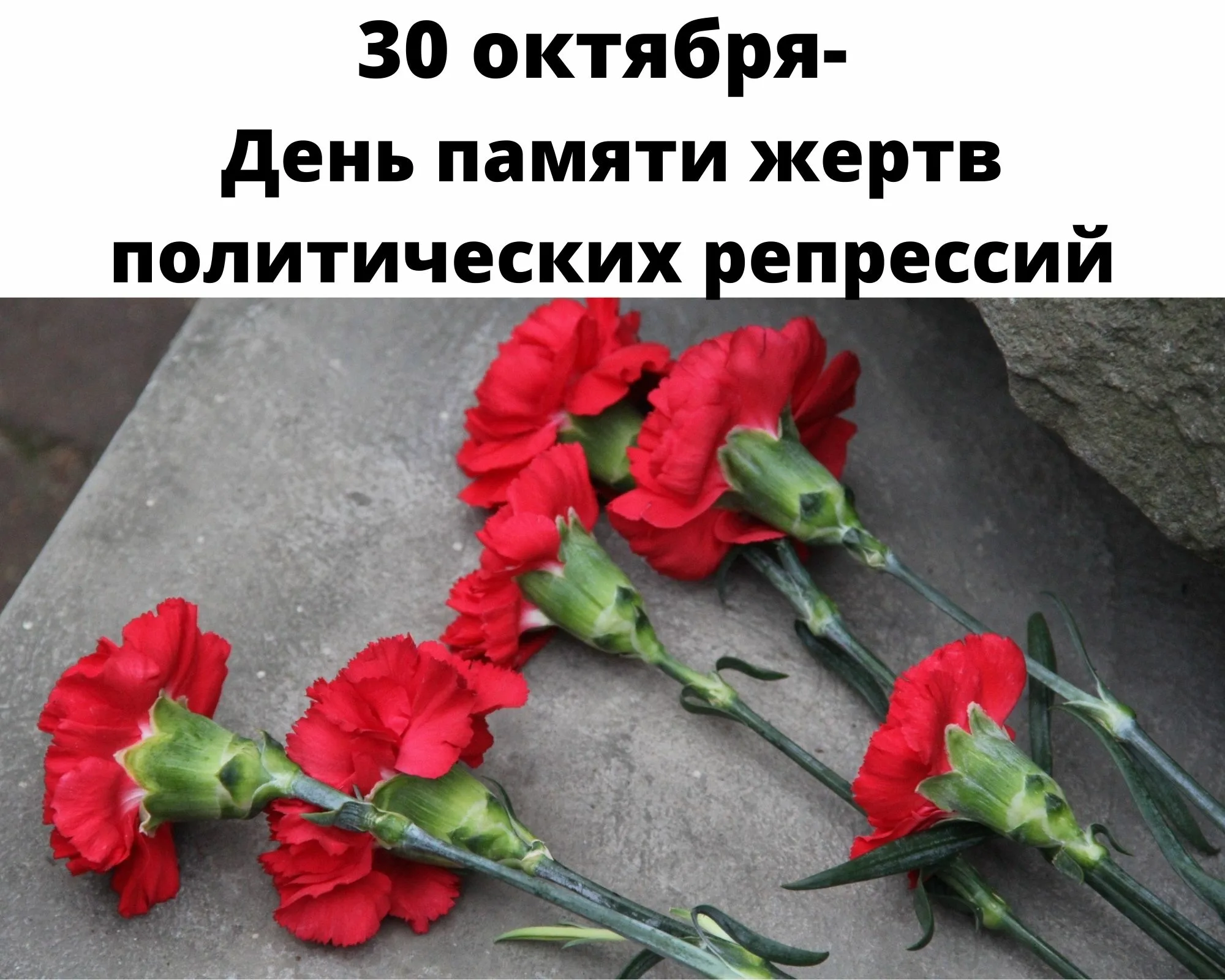 Фото День памяти жертв политических репрессий 2024 #19