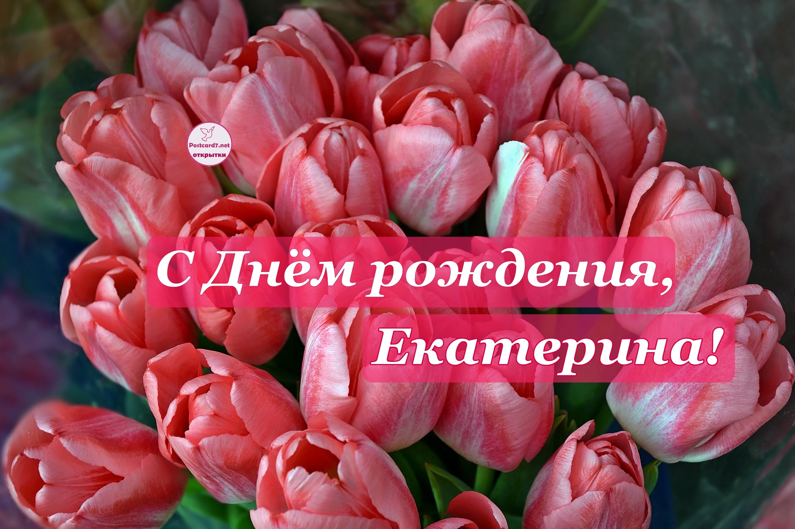Фото Congratulations on the anniversary of Ekaterina #12