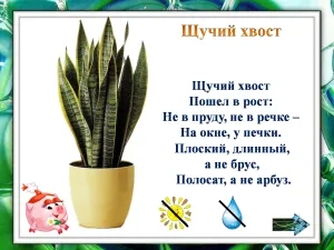 Скачивание изображения #529021