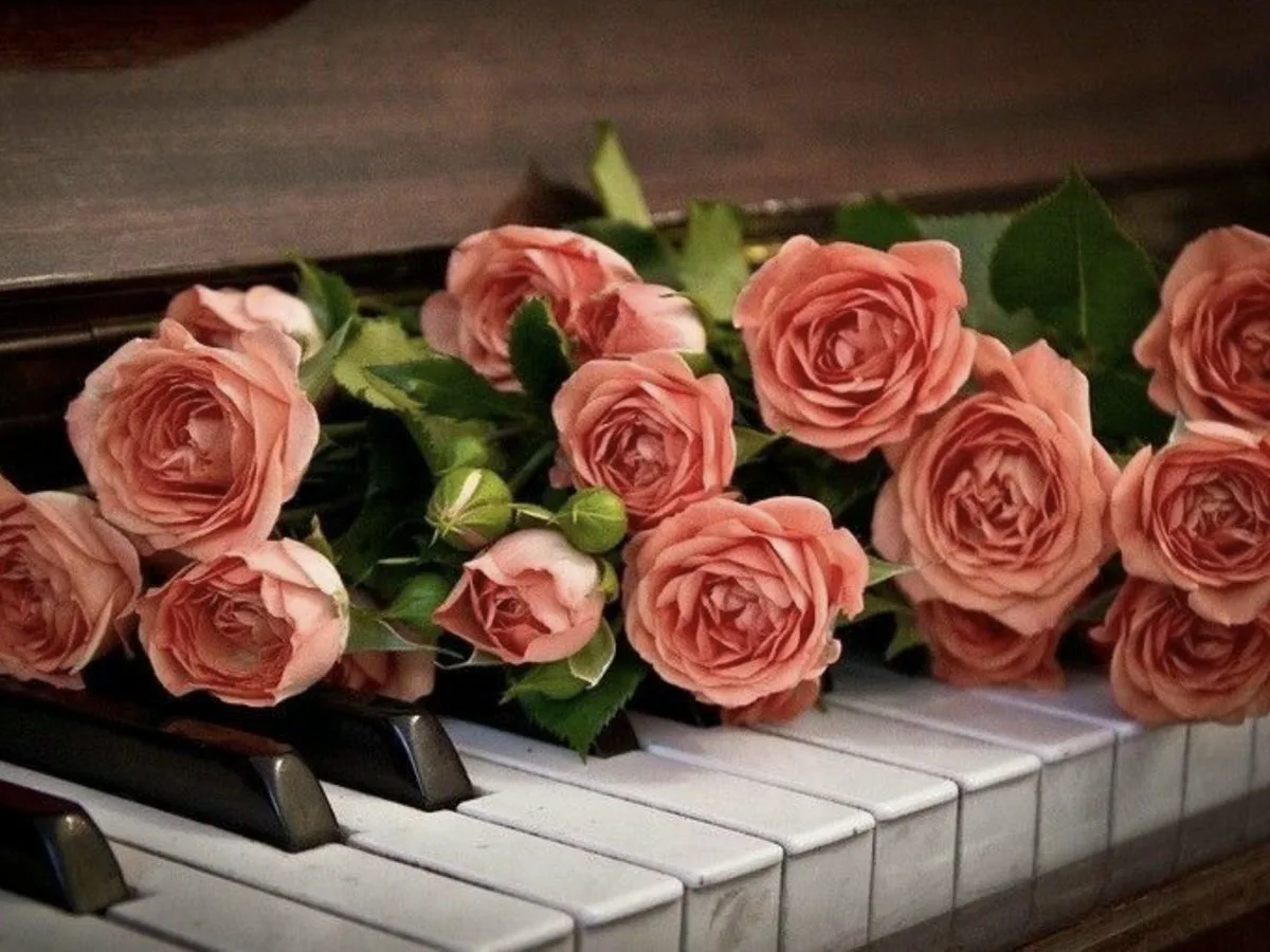 Цветы на рояле