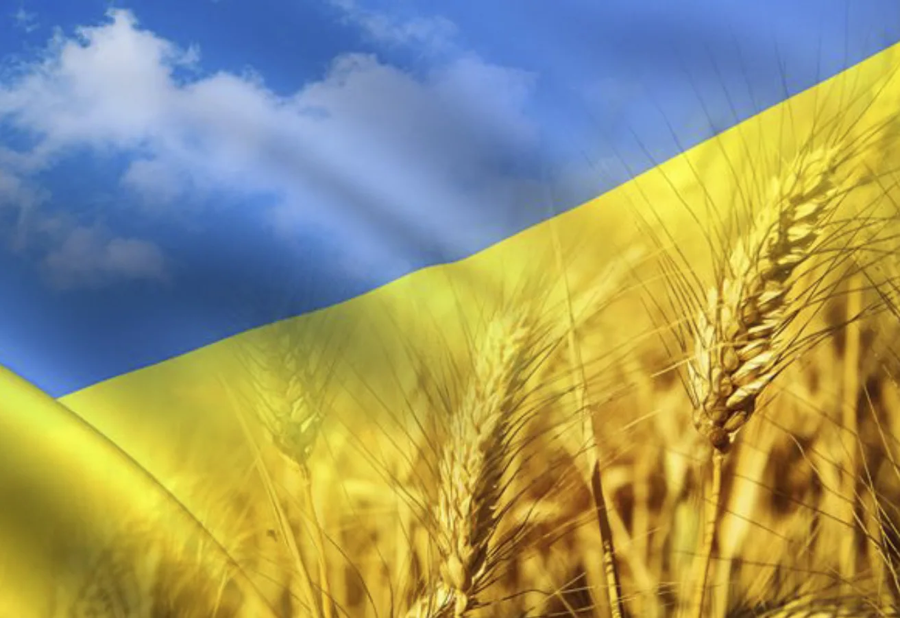 Фото Привітання з Днем державного прапора України #77