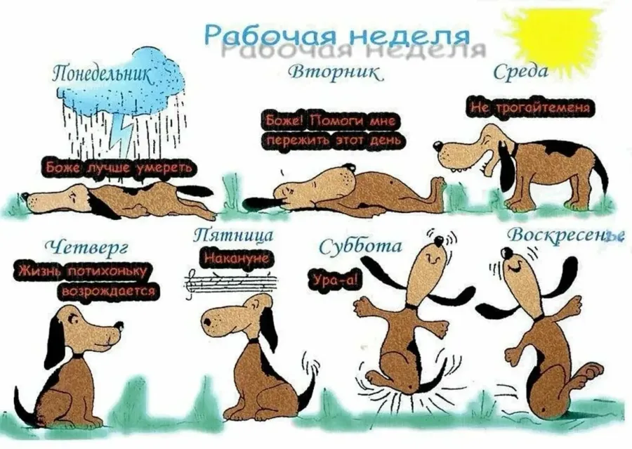 С 1 Рабочим Днем Картинки