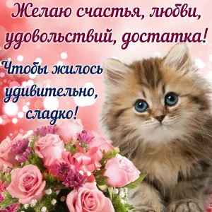 Скачивание изображения #31383