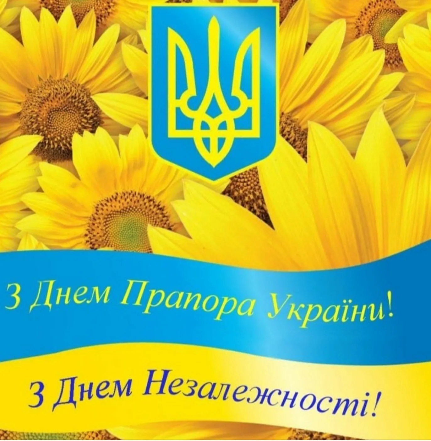 Фото Поздравления с днем независимости Украины #40