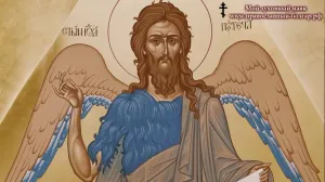 Скачивание изображения #460828