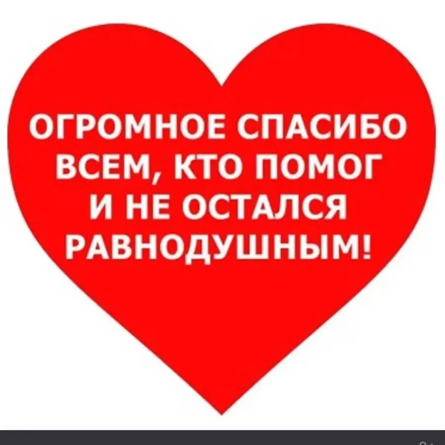 Благодарим за неравнодушное отношение. Спасибо за помощь. Спасибо за неравнодушие.