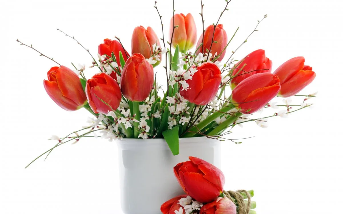 Фото Стихи к подарку тюльпаны #57