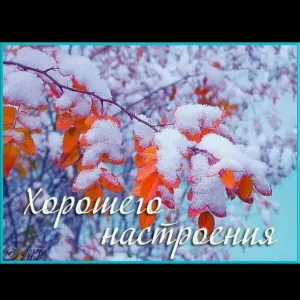 Скачивание изображения #32664