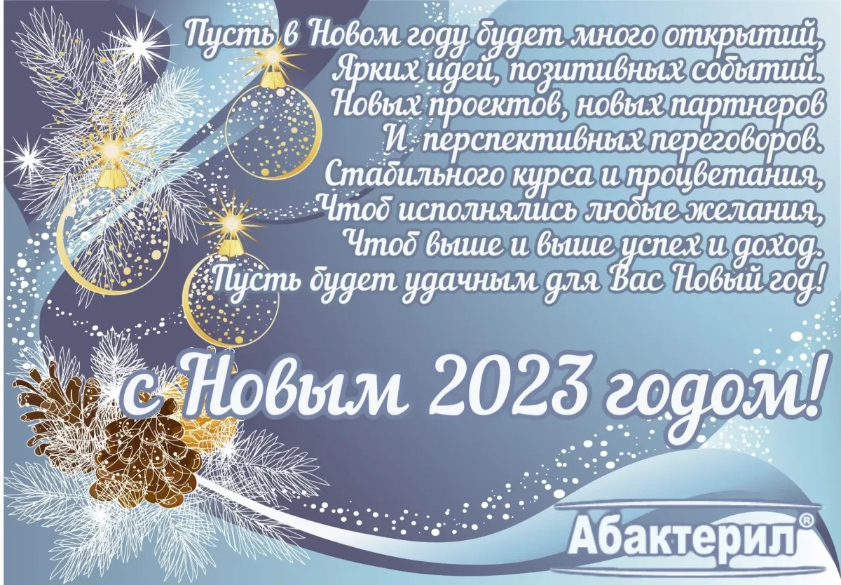 Официальные новогодние 2024