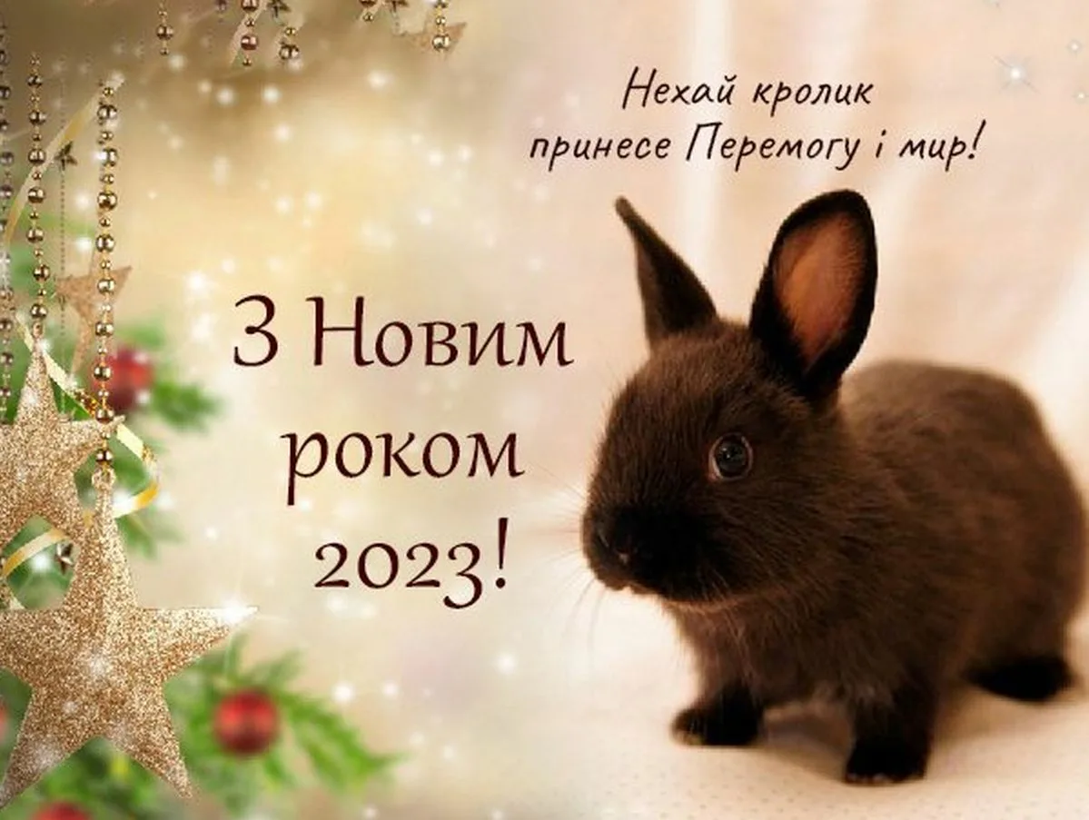Фото Привітання з Новим роком 2025 на українській мові #31