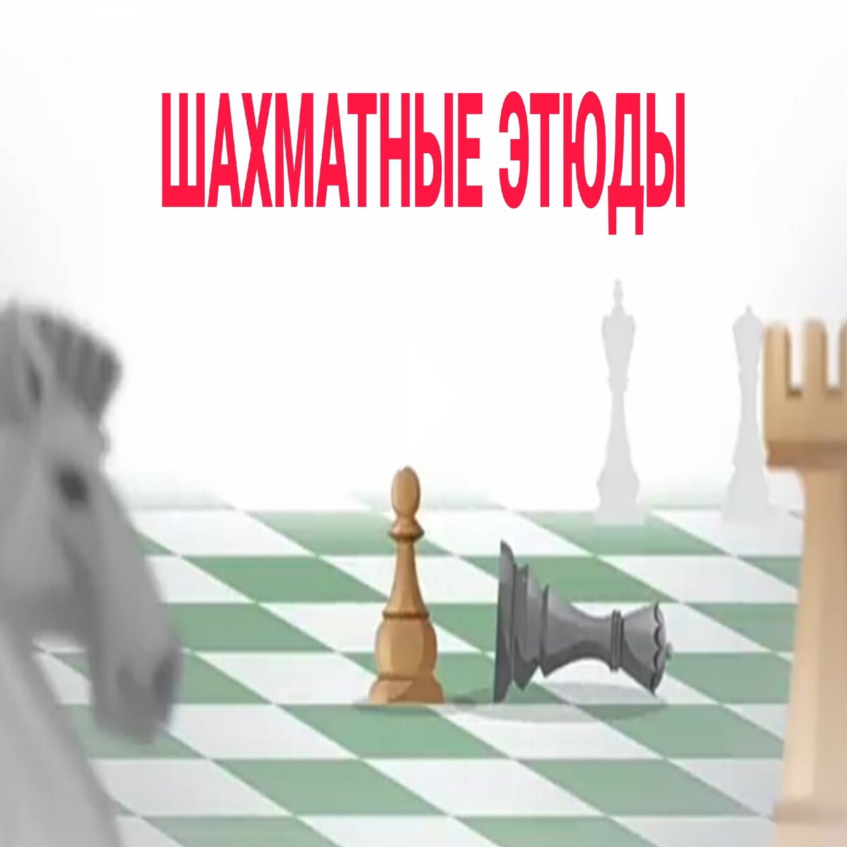 Фото День шахмат 2024, поздравление шахматисту #84