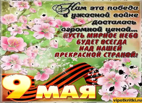 Открытки на 9 дней