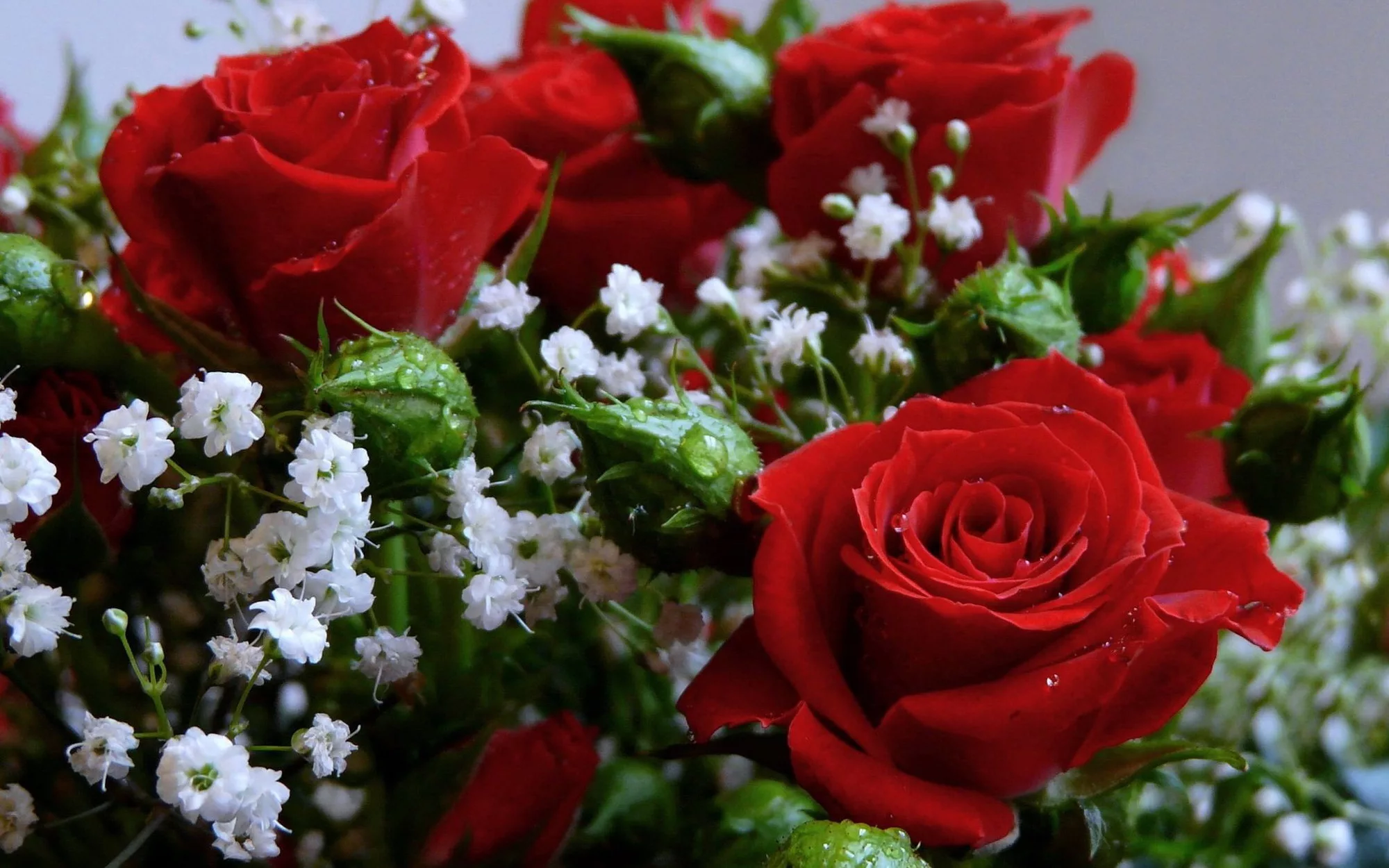 Фото Стихи к подарку розы #87