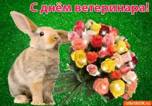 Скачивание изображения #37693
