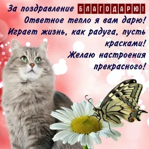 Скачивание изображения #111728