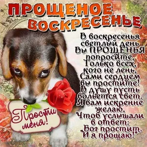 Скачивание изображения #31098
