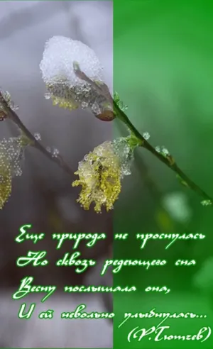 Скачивание изображения #320616