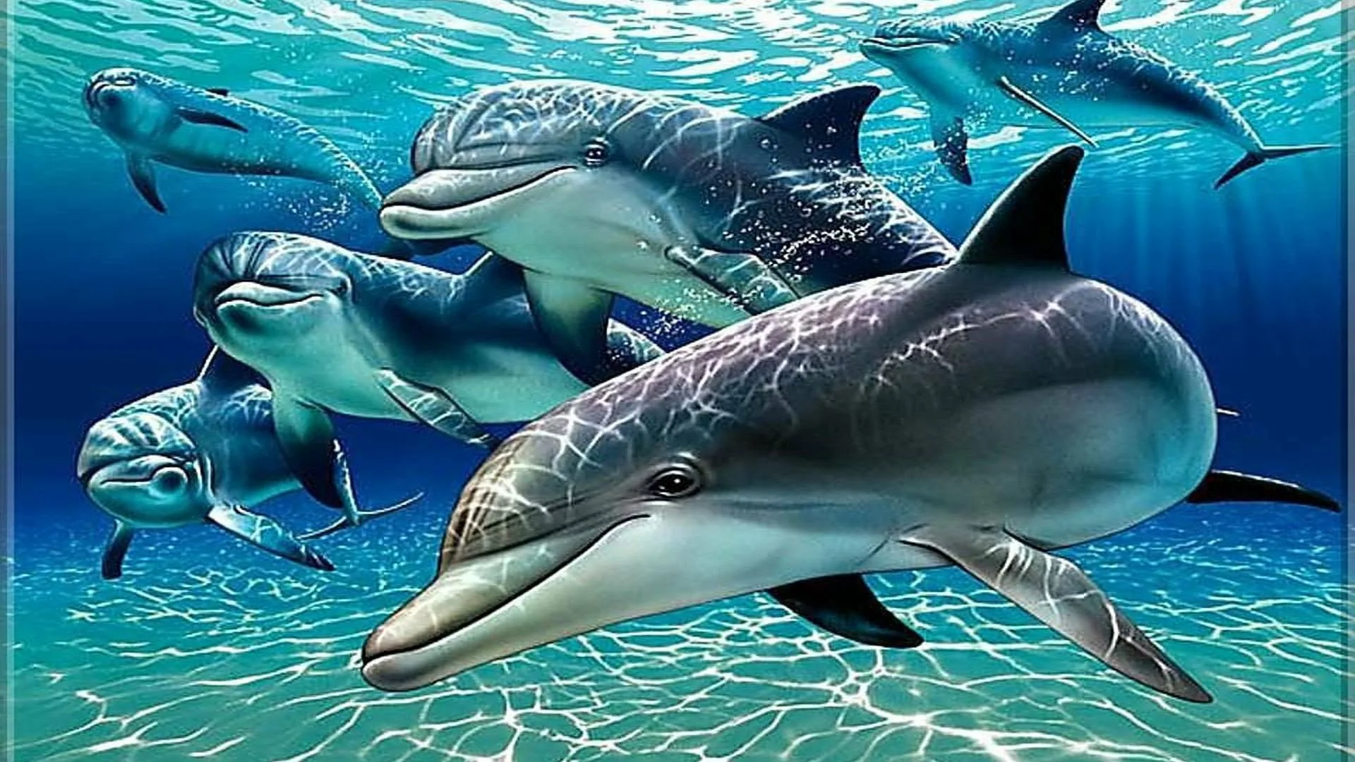 Фото Всемирный день китов и дельфинов 2024 #27