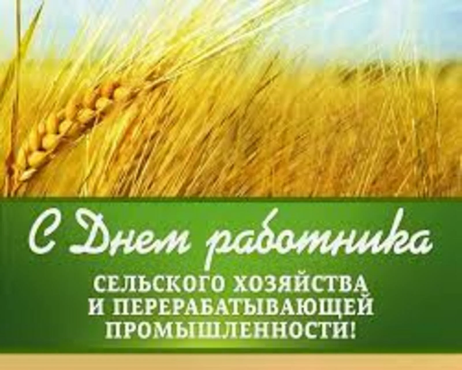 Фото Поздравления с днем работников сельского хозяйства Украины #53