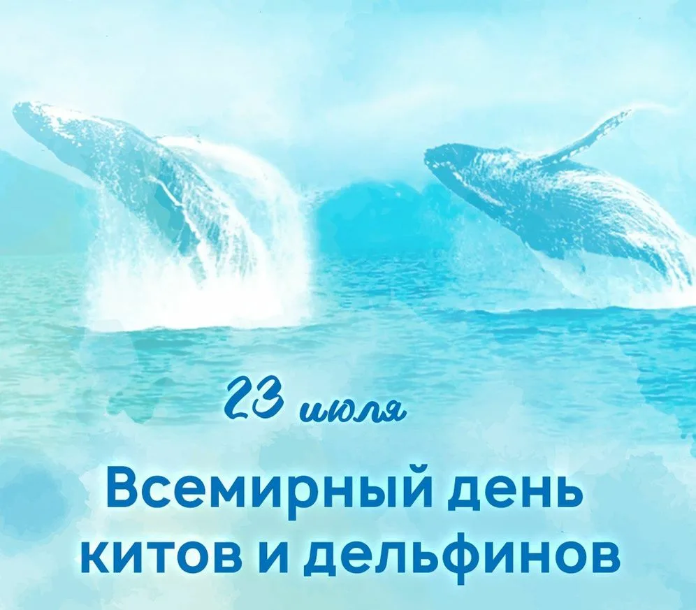 Фото Всемирный день китов и дельфинов 2024 #7