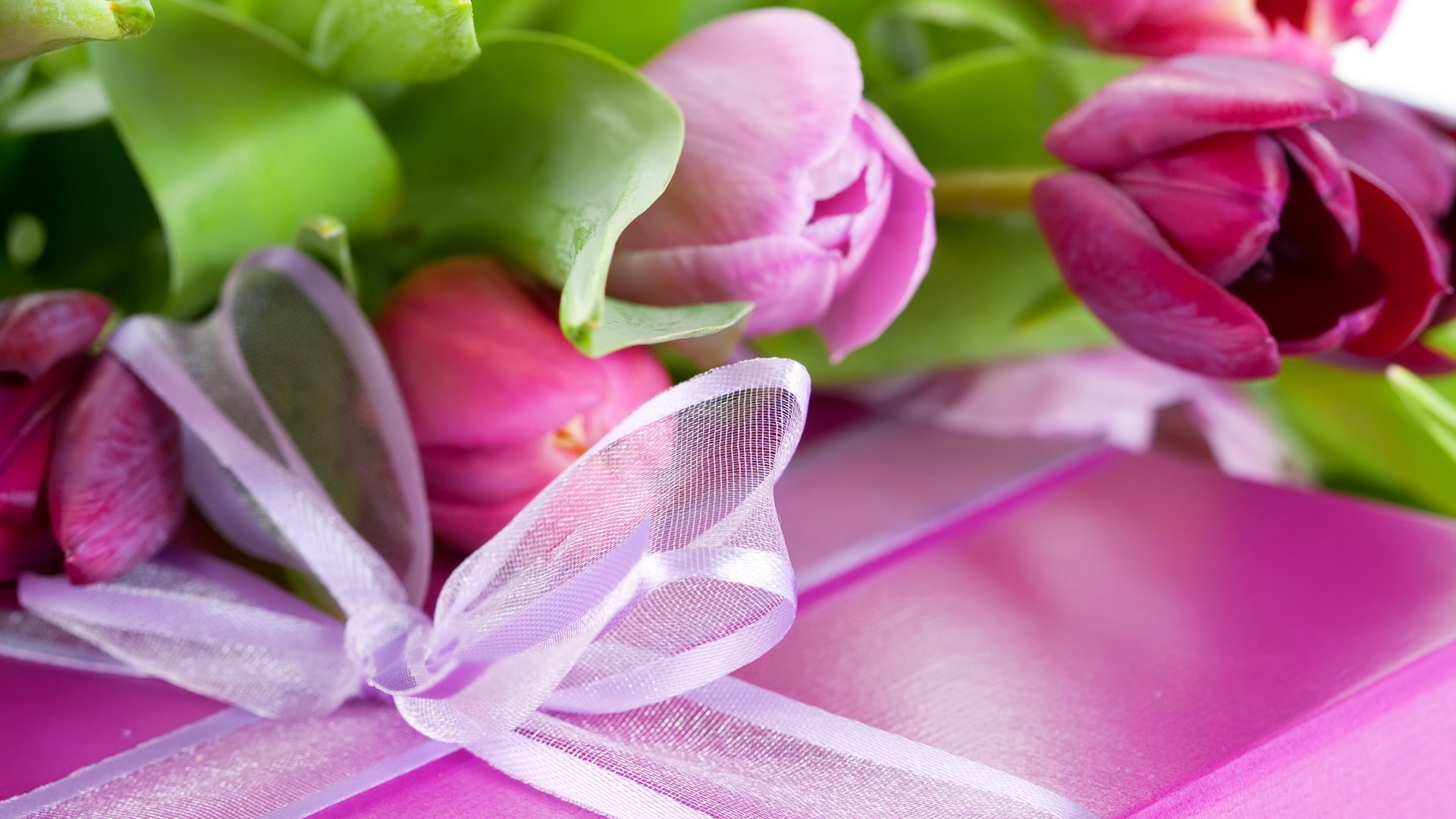 Фото Стихи к подарку тюльпаны #55
