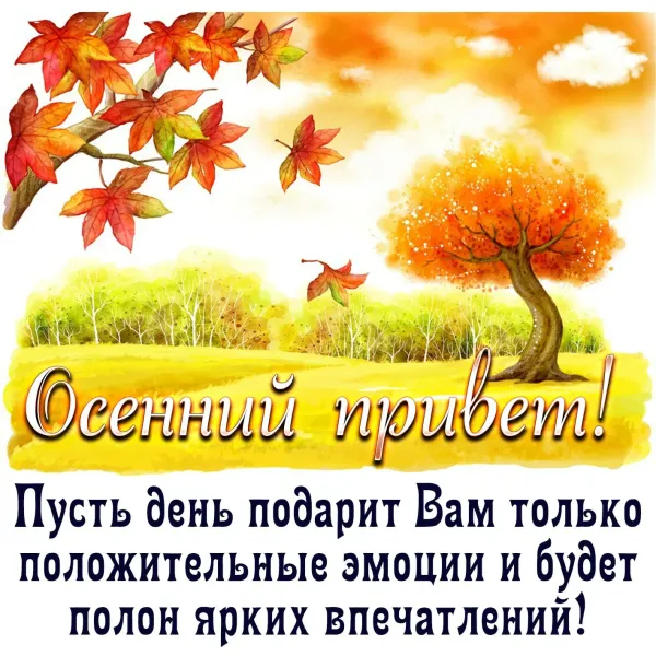 Осень картинки красивые с пожеланиями