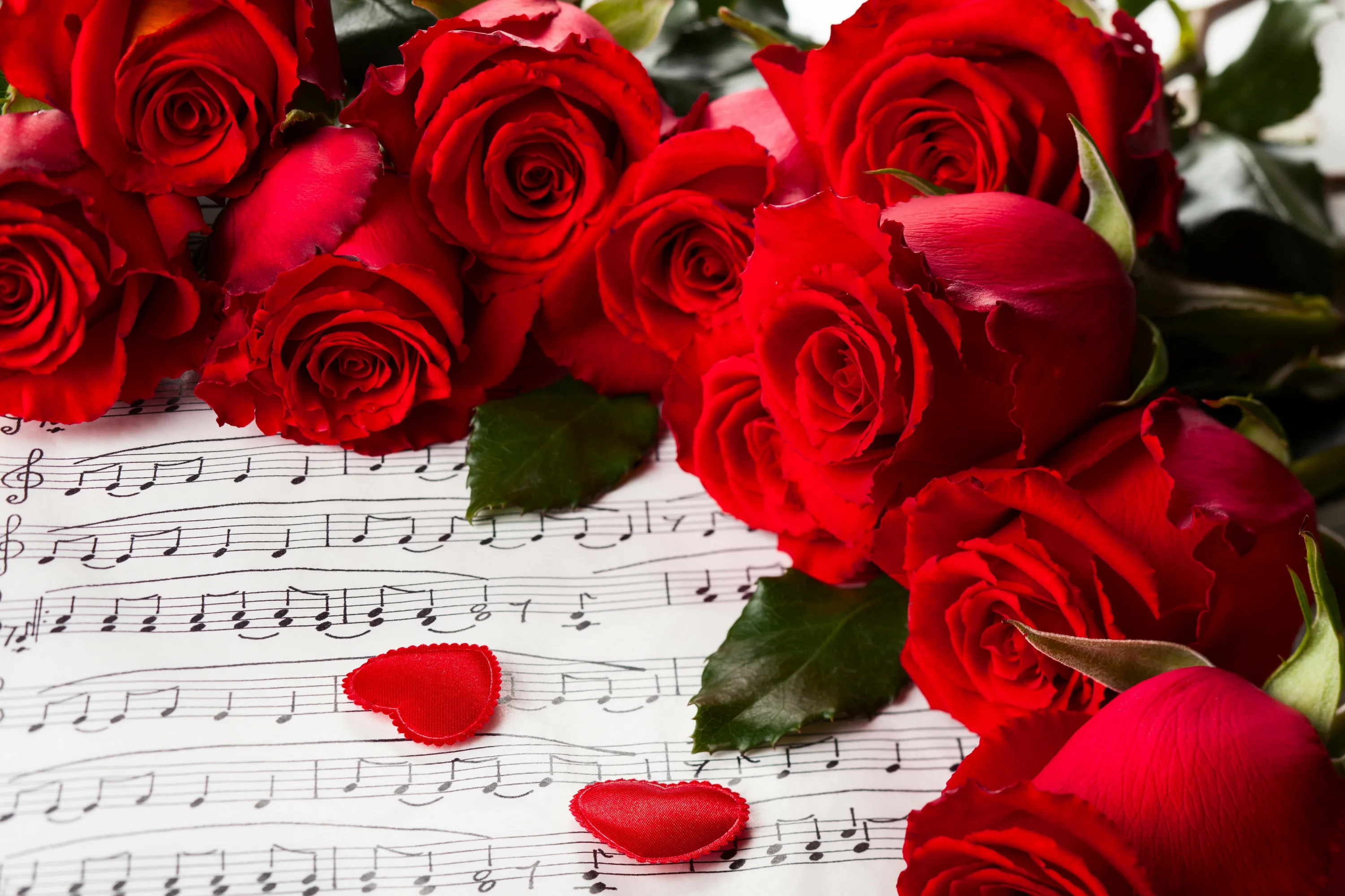 Музыкальный букет. Розы фон. Открытки с розами. Цветы для музыканта.