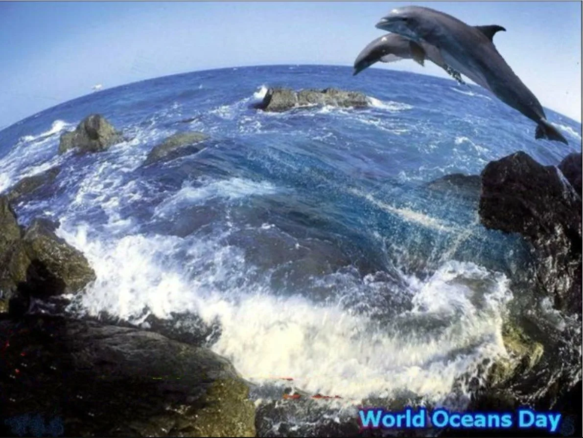 Фото Всемирный день океанов 2024 #30