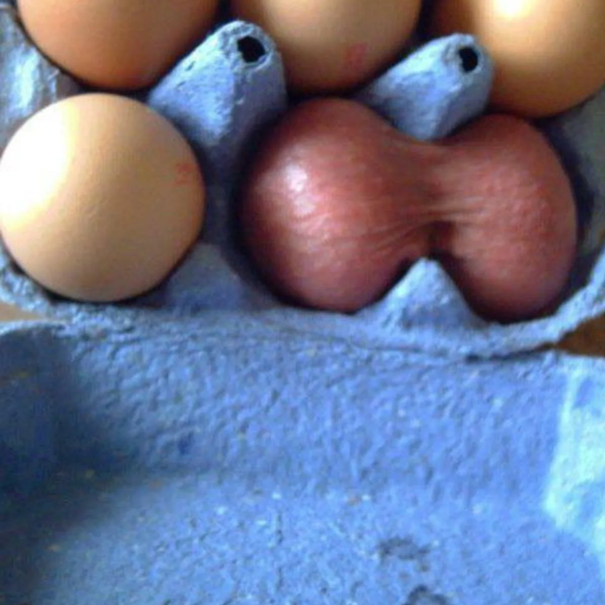 Фото Всемирный день яйца 2024 #69