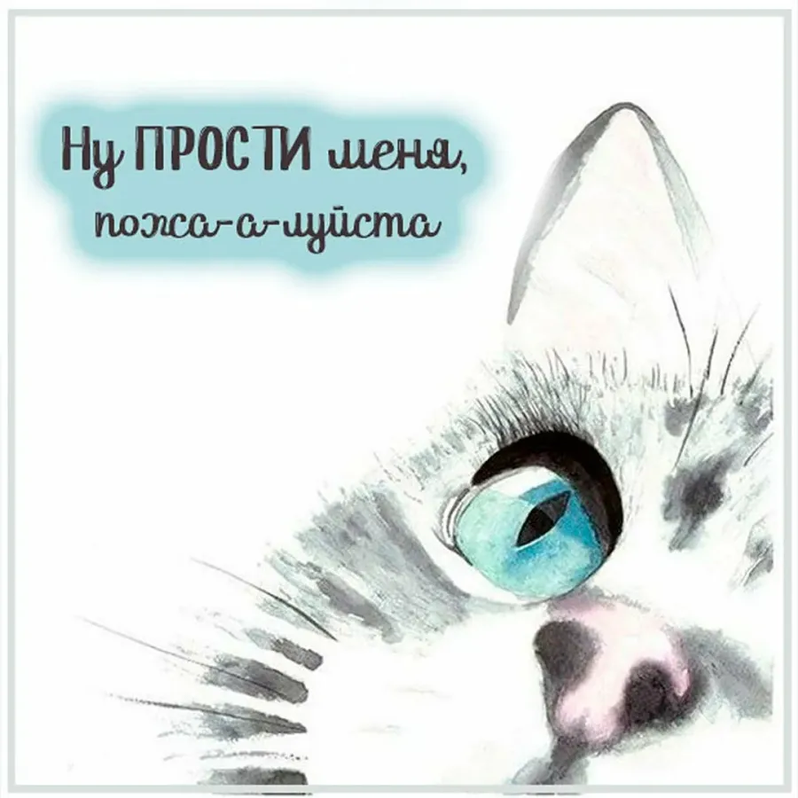 Картинки прости меня