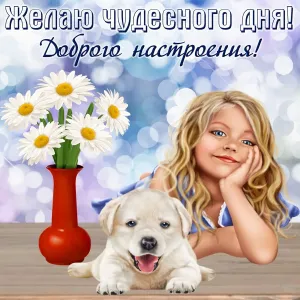 Скачивание изображения #27328