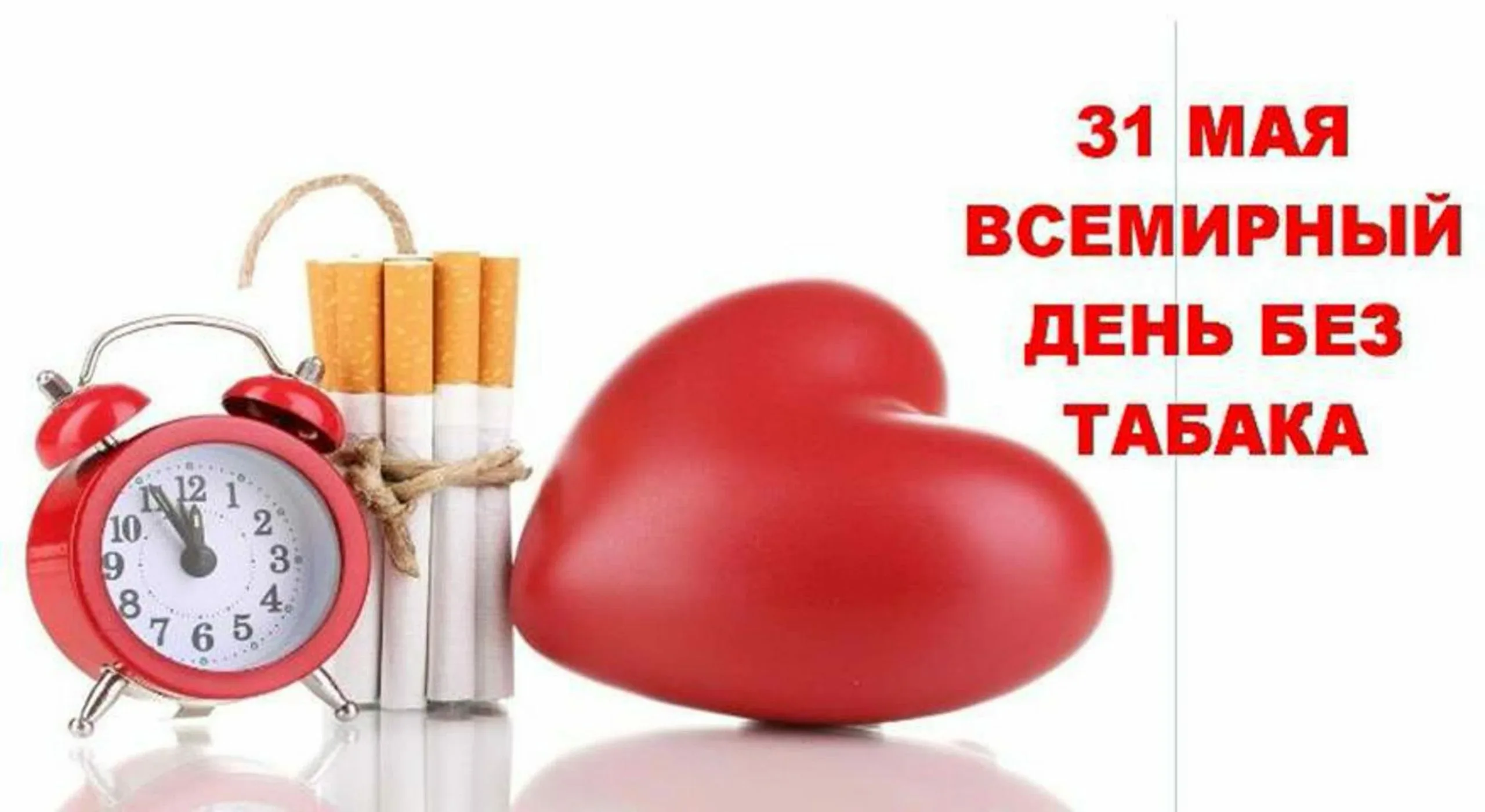 Фото Всемирный день без табака 2024 #18