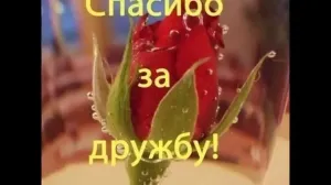 Скачивание изображения #536281