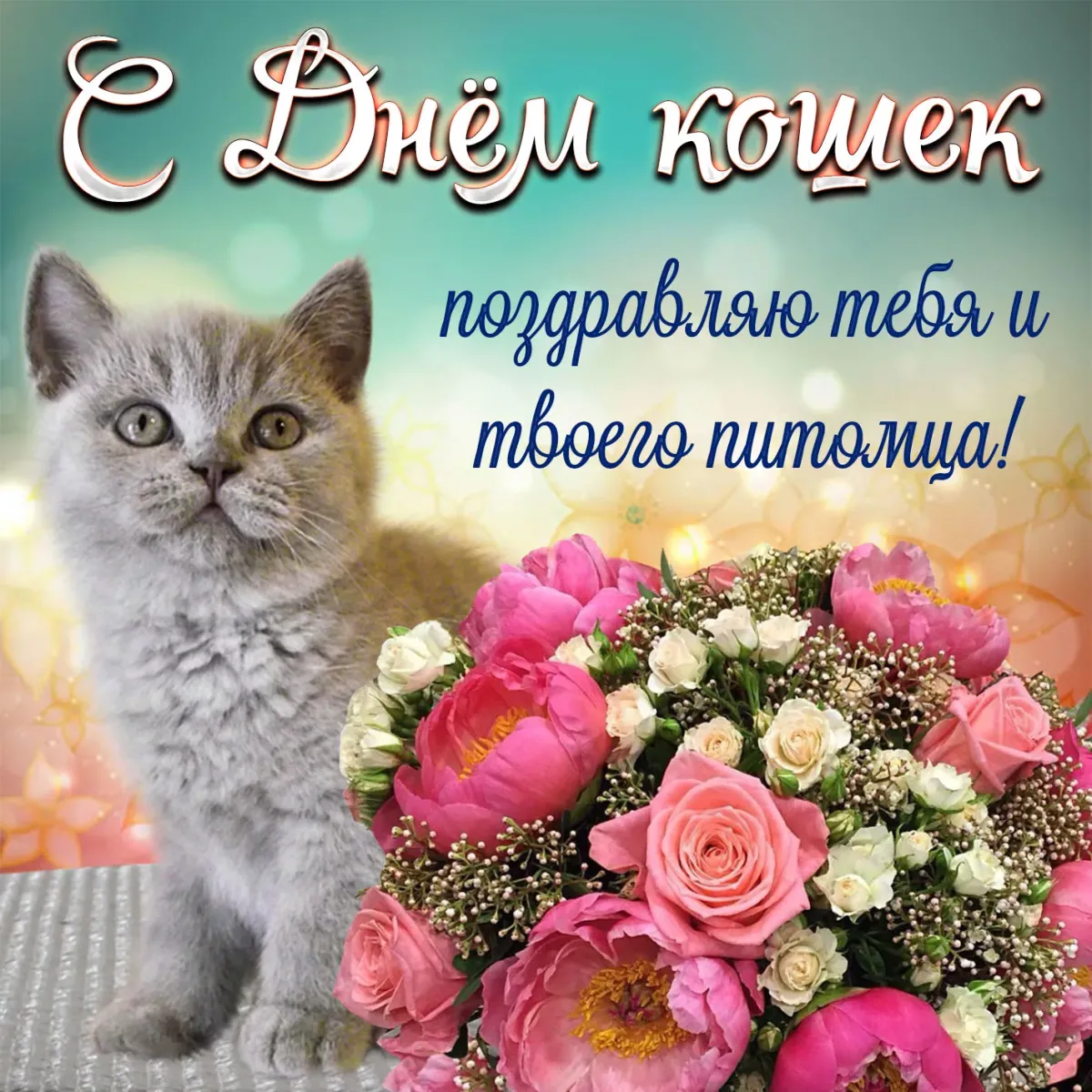 День котиков в россии. День кошек. Поздравление с днем кошек. День кошек открытки. Всемирный день.