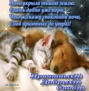Скачивание изображения #35212