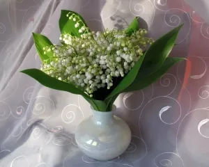 Скачивание изображения #461629