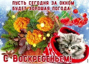 Скачивание изображения #352162